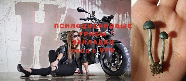 стафф Семилуки