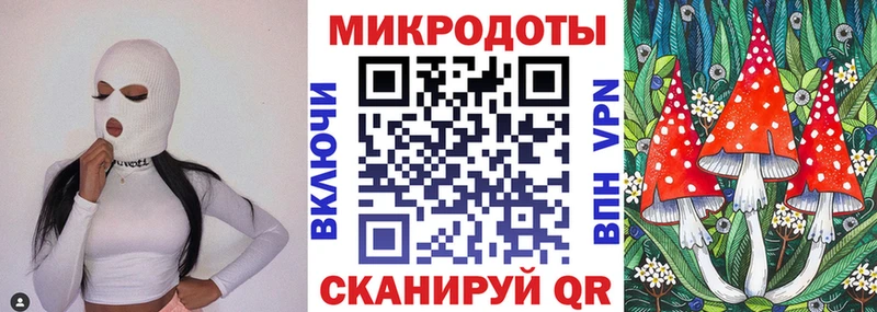 Галлюциногенные грибы Psilocybe  Купить где  Приволжск 